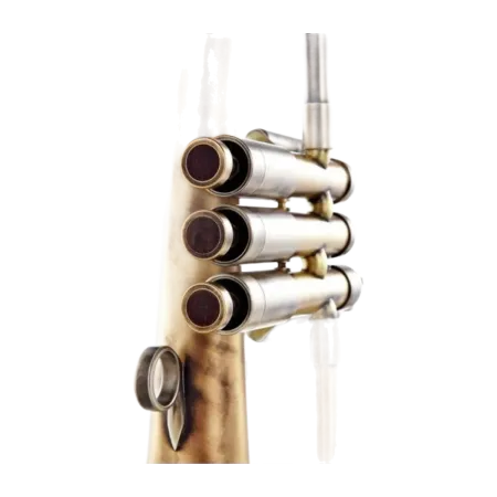 Flugelhorn Adams F2 Custom Series Goldbrass Antique -Sanganxa.com