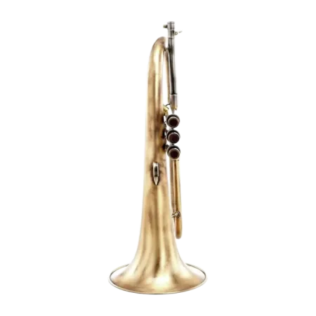 Flugelhorn Adams F2 Custom Series Goldbrass Antique -Sanganxa.com