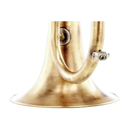 Flugelhorn Adams F2 Custom Series Goldbrass Antique -Sanganxa.com