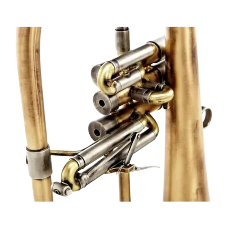 Flugelhorn Adams F2 Custom Series Goldbrass Antique -Sanganxa.com