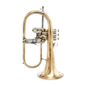 Flugelhorn Adams F2 Custom Series Goldbrass Antique -Sanganxa.com