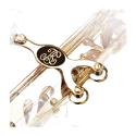 Saxofone Alto Buffet Prodige BC8301 Lacado - Sanganxa.com