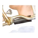 Protetor de pescoço Protec L229 Para Trombone Simples - Sanganxa.com