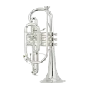 Bugle Yamaha Xeno YCR8335 S- sanganxa music store