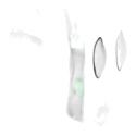 Estojo para Saxofone Alto Ortolá 9900 BGD Verde - Sanganxa.com