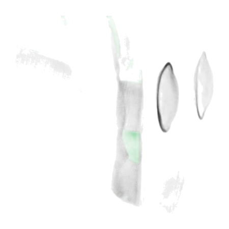 Estojo para Saxofone Alto Ortolá 9900 BGD Verde - Sanganxa.com