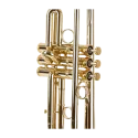 Trompeta Arocha by Instruvents en Sib Lacada -sanganxa.com