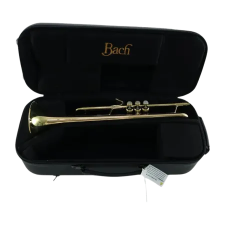 Trompeta Bach 17043GYR Apollo  - Sanganxa.com