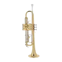 Trompeta Bach TR650 lacada -sanganxa.com