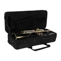 Trompeta Bach TR650 lacada -sanganxa.com