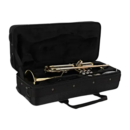 Trompeta Bach TR650 lacada -sanganxa.com