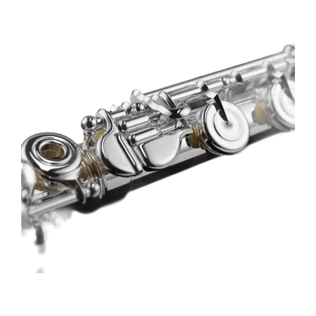 Flauta Di Zhao DZ801BEF Elevador em ouro de 14k - sanganxa.com