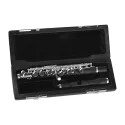 Piccolo Di Zhao DZP102 Composto - sanganxa.com