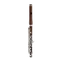 flautin di zhao dzp 310