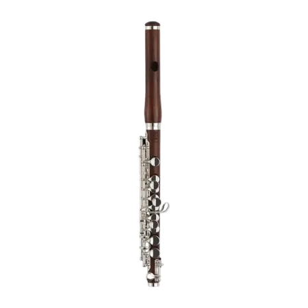 flautin di zhao dzp 310