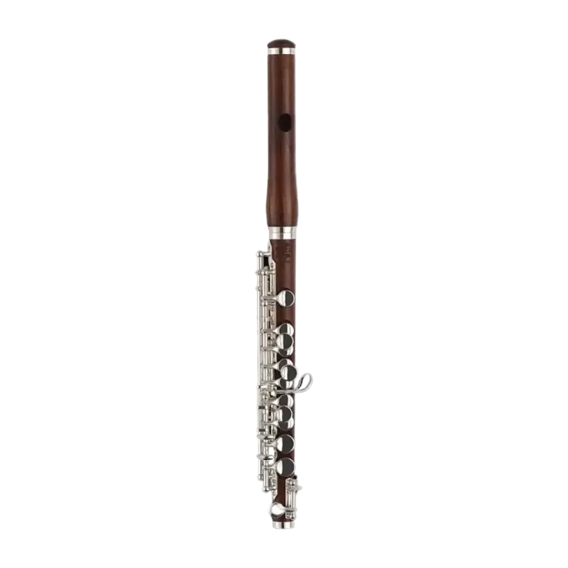 flautin di zhao dzp 310