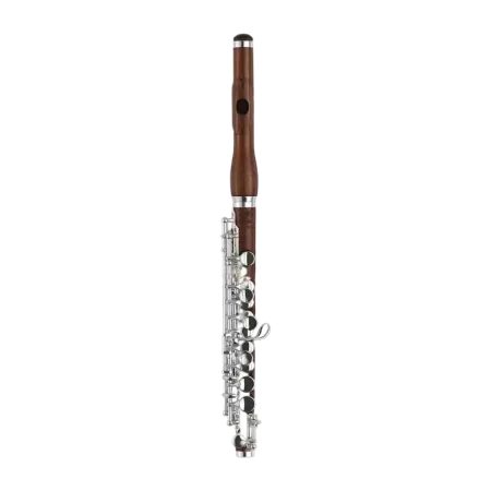flautin di zhao dzp301