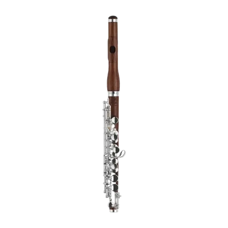 flautin di zhao dzp301
