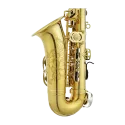saxofone alto jupiter jasstrq stellar