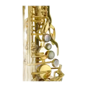 saxofone alto jupiter jasstrq stellar