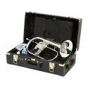 flugelhorn yamaha yfh 8315 gs banhado a prata