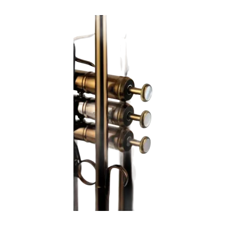 trompete adams a10 custom bronze acetinado