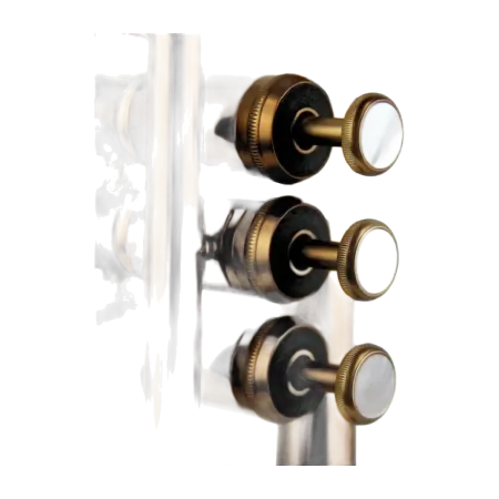 trompete adams a10 custom bronze acetinado