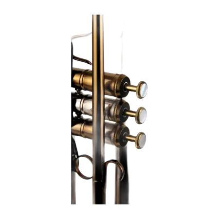Trompeta Adams A10 Custom Satin Bronze -sanganxa.com