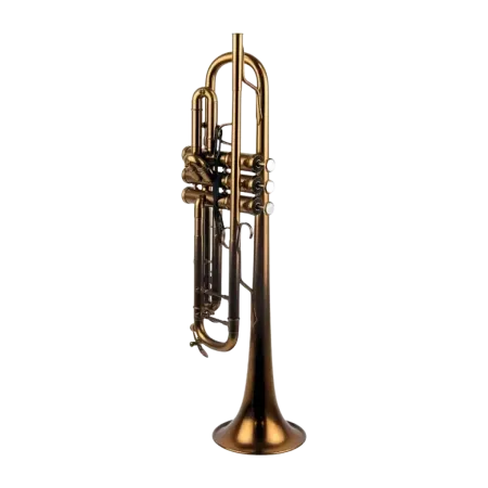 Trompeta Adams A10 Custom Satin Bronze -sanganxa.com
