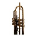 Trompeta Adams A10 Custom Satin Bronze -sanganxa.com