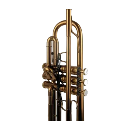 trompete adams a10 custom bronze acetinado