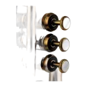 trompete adams a10 custom bronze acetinado