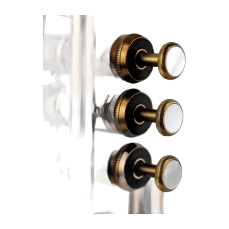 Trompeta Adams A10 Custom Satin Bronze -sanganxa.com