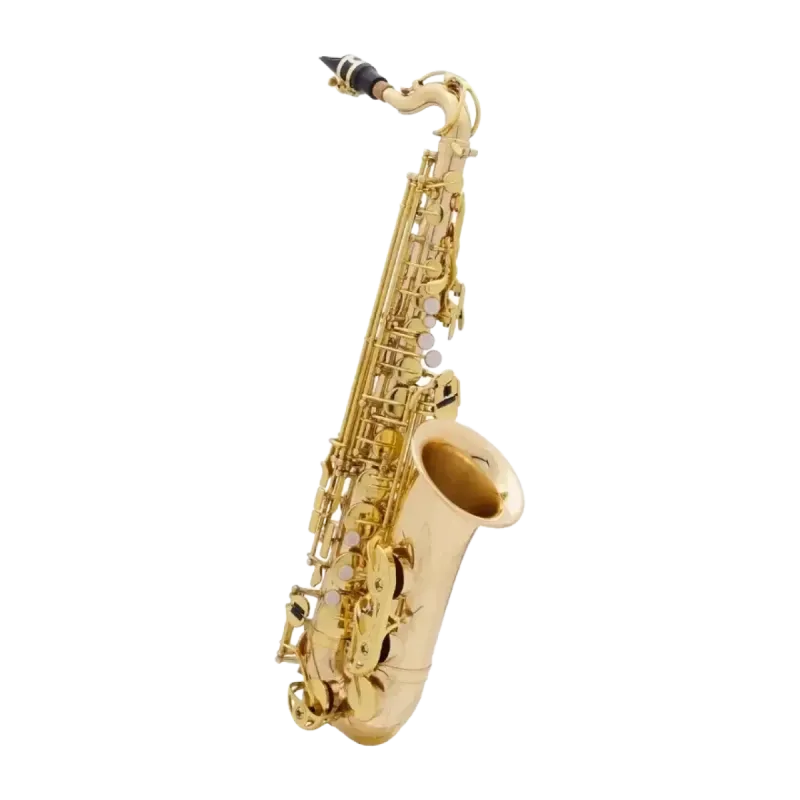 Saxofone Alto MTP Início Lacado - Sanganxa.com