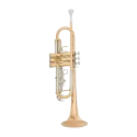 Trompete MTP T200G Goldbrass -sanganxa.com
