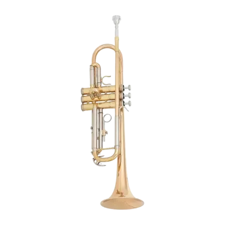 Trompete MTP T200G Goldbrass -sanganxa.com
