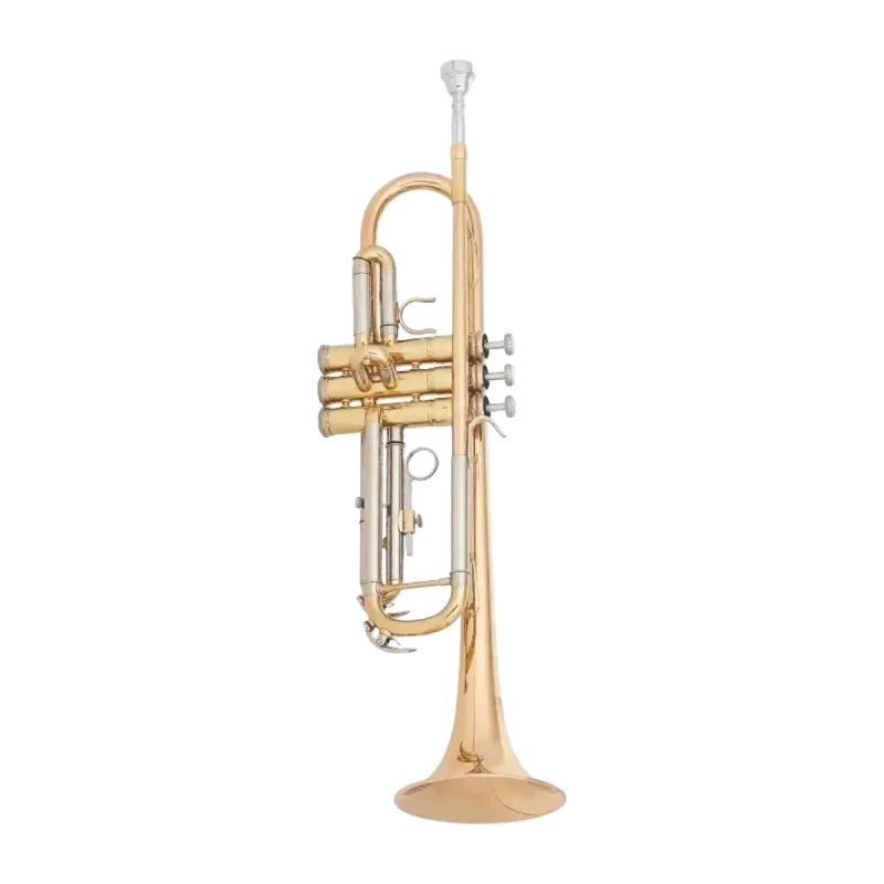 Trompete MTP T200G Goldbrass -sanganxa.com