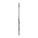 flauta di Zhao 501 CEF