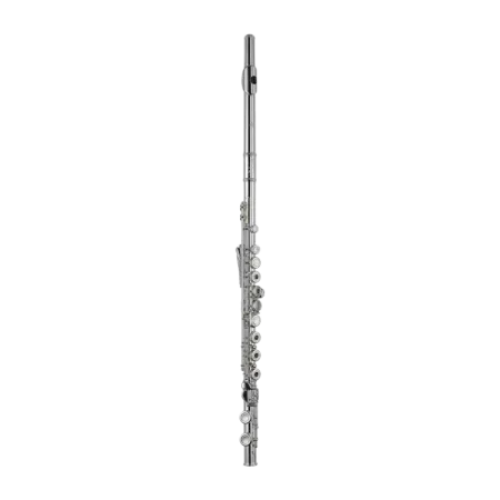 flauta di Zhao 501 CEF