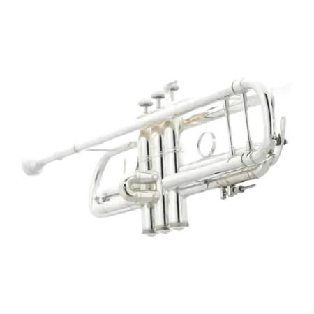 Trompeta Bach 190S43 Stradivarius -sanganxa.com
