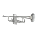 Trompete Bach 170S43GY Apollo -sanganxa.com