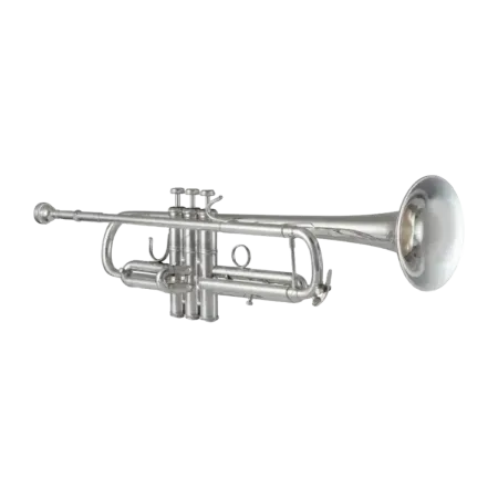 Trompete Bach 170S43GY Apollo -sanganxa.com