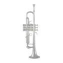Trompete Bach 170S43GY Apollo -sanganxa.com