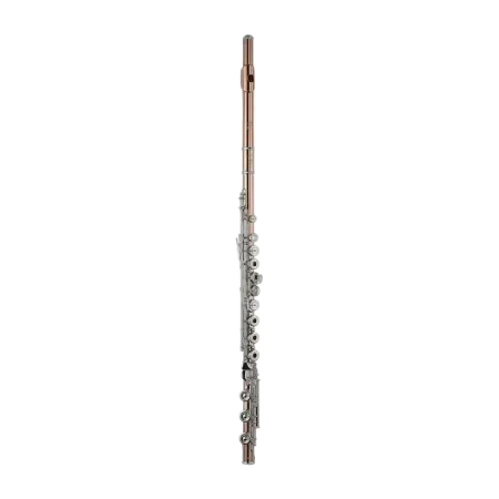 Flauta Di Zhao DZ GSD BEF 14k Gold Riser 10k