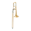 Trombone MTP 443G Goldbrass