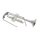 LIMPIADOR BG A31T