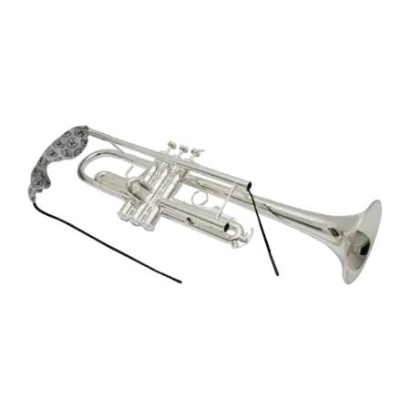 LIMPIADOR BG A31T