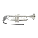 LIMPIADOR BG A31T
