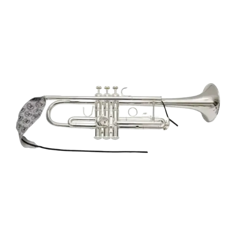 LIMPIADOR BG A31T