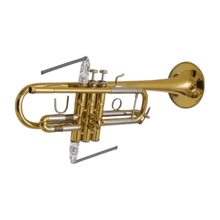 Limpador BG A31 T2, para pistões de trompete